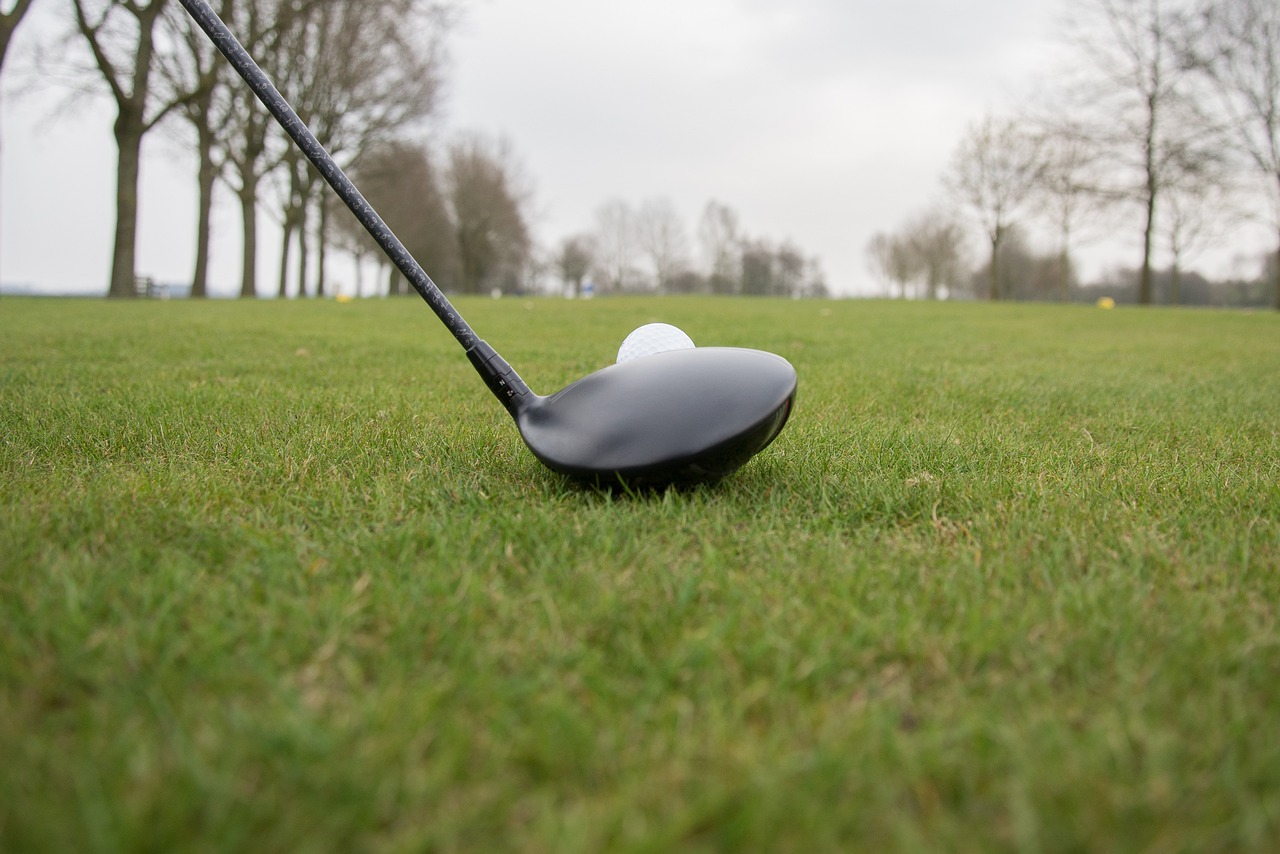 Bolas de golfe biodegradáveis ​​baratas